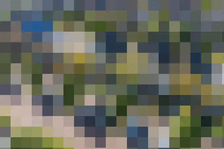 Zomersloot 15 Broek op Langedijk thumbnail 4