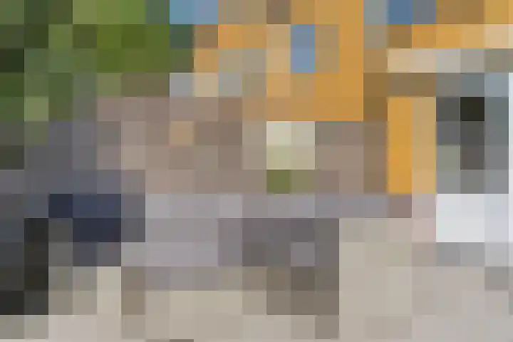 Zomersloot 15 Broek op Langedijk thumbnail 40