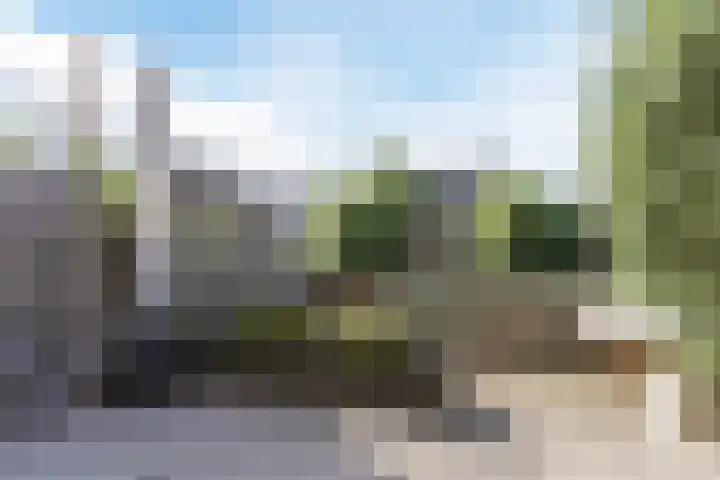 Zomersloot 15 Broek op Langedijk thumbnail 41