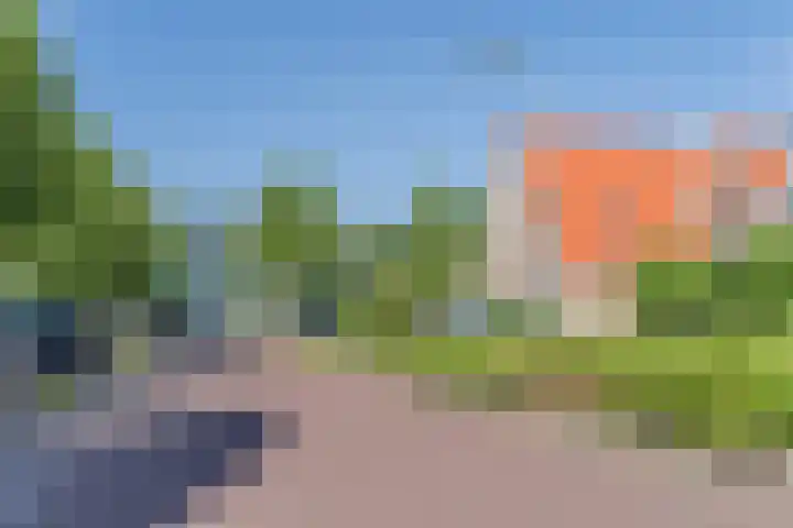 Zomersloot 15 Broek op Langedijk thumbnail 48