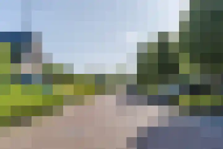 Zomersloot 15 Broek op Langedijk thumbnail 49