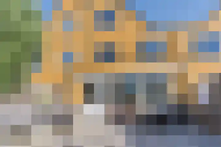 Zomersloot 15 Broek op Langedijk thumbnail 56