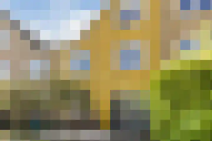 Zomersloot 15 Broek op Langedijk thumbnail 6