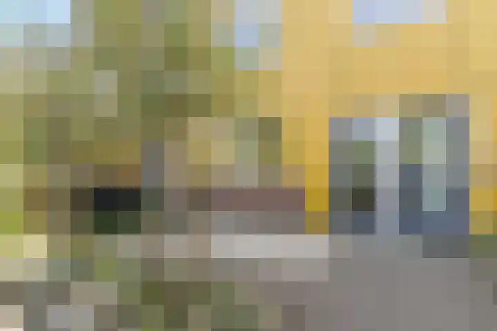 Zomersloot 15 Broek op Langedijk thumbnail 7