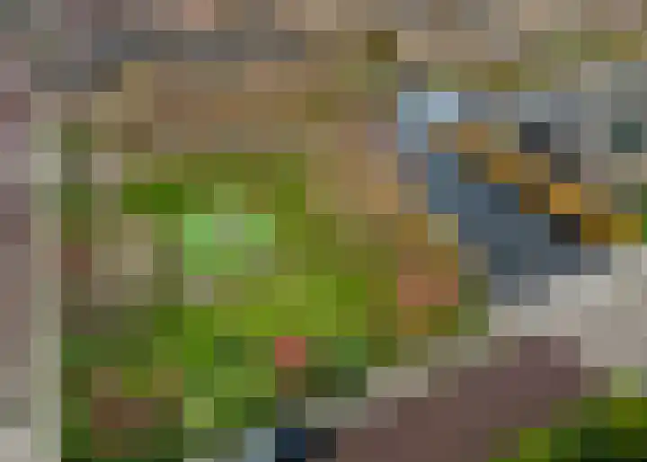 Zomersloot 39 Broek op Langedijk thumbnail 27