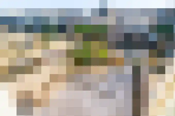 Zomersloot 9 Broek op Langedijk thumbnail 23