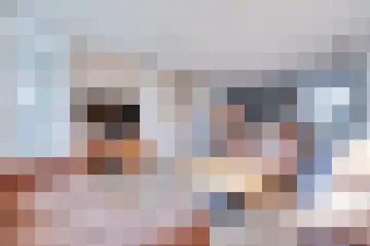 Zomersloot 9 Broek op Langedijk thumbnail 9