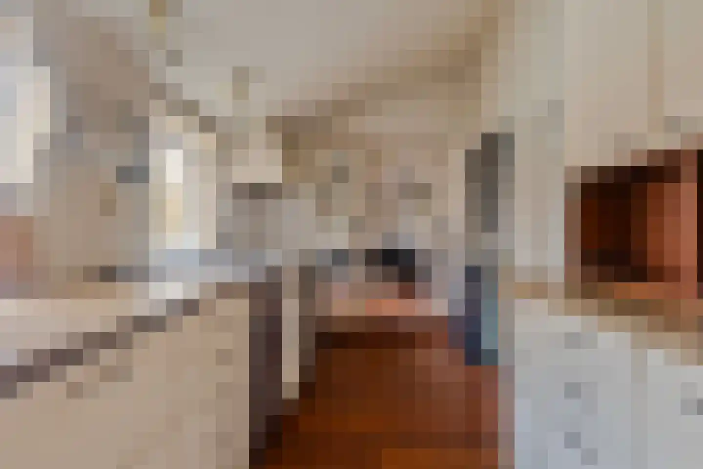 Zomerstraat 12 Ellewoutsdijk thumbnail 13
