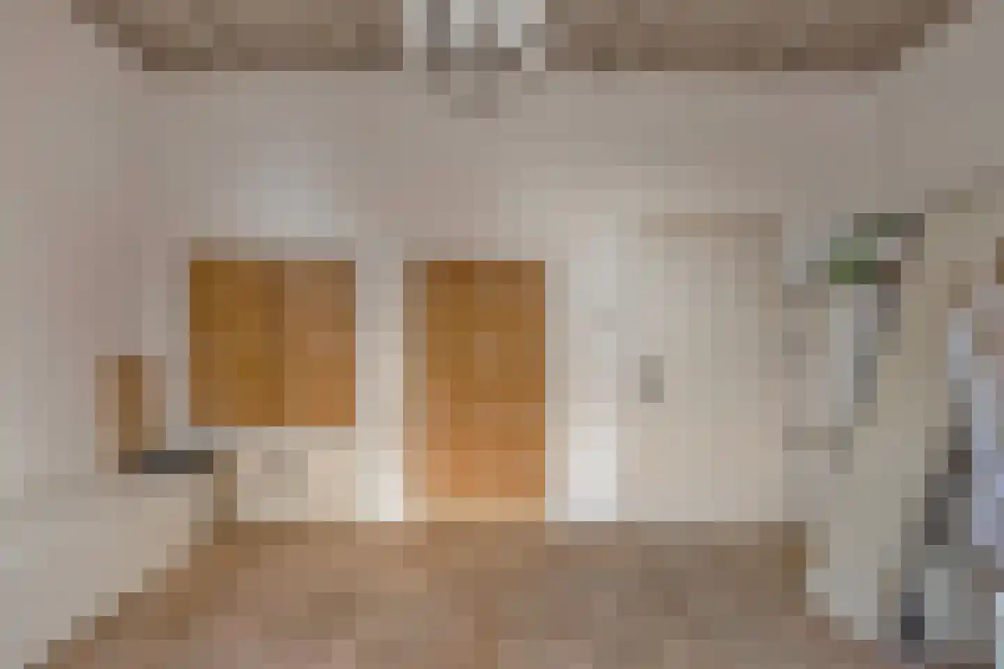 Zomerstraat 12 Ellewoutsdijk thumbnail 17