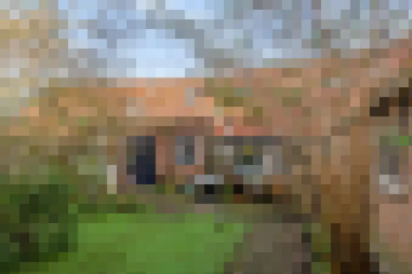 Zomerstraat 12 Ellewoutsdijk thumbnail 32