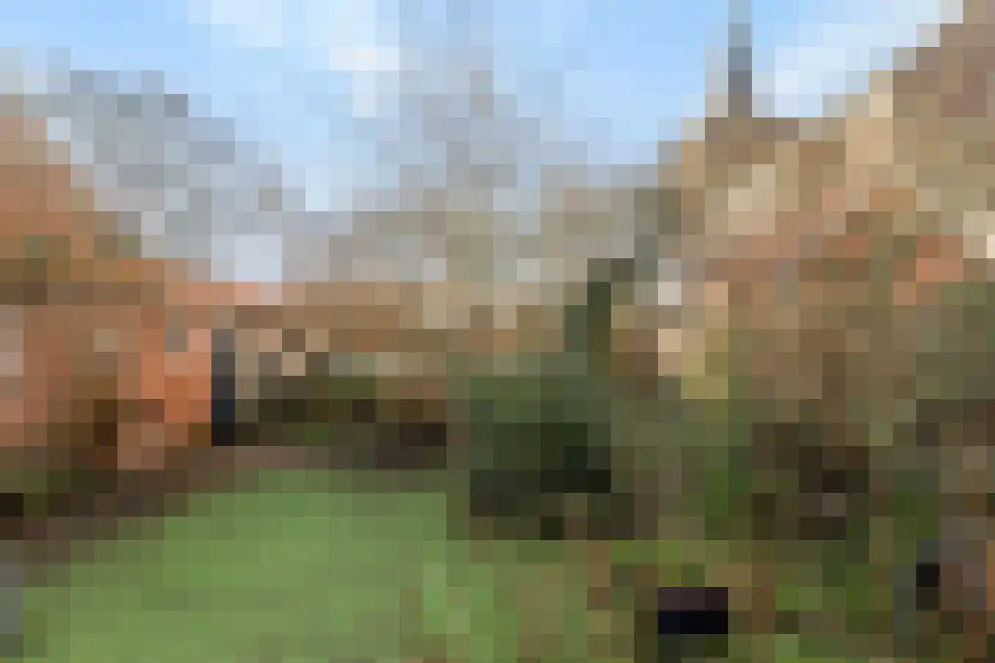 Zomerstraat 12 Ellewoutsdijk thumbnail 4