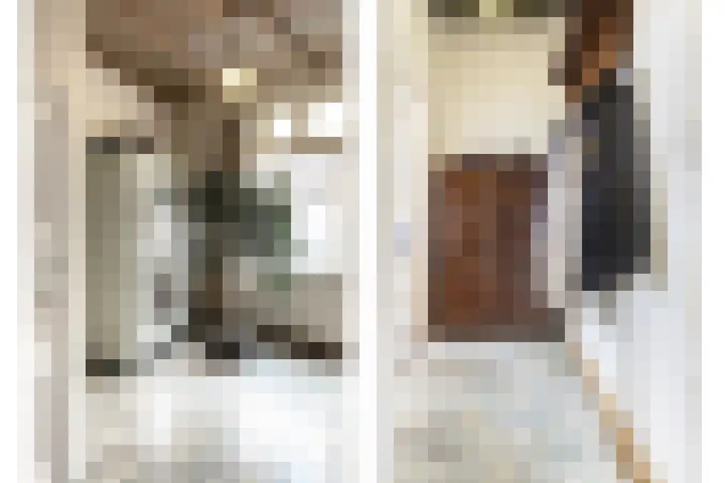 Zomerstraat 12 Ellewoutsdijk thumbnail 5