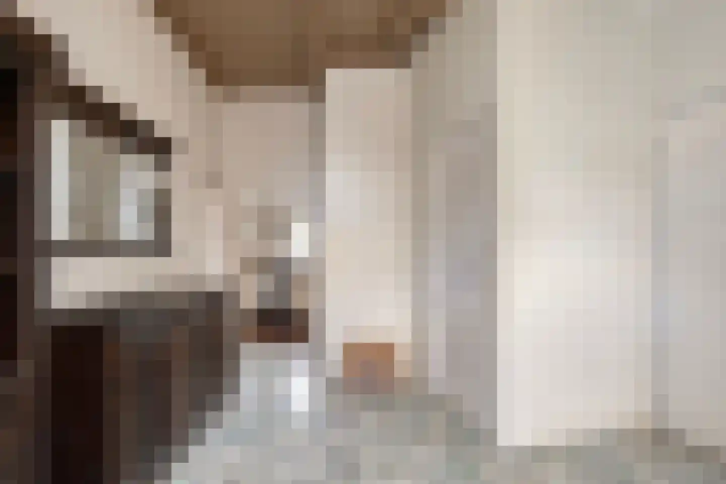 Zomerstraat 12 Ellewoutsdijk thumbnail 6