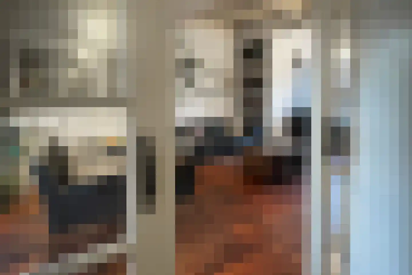 Zomerstraat 12 Ellewoutsdijk thumbnail 8