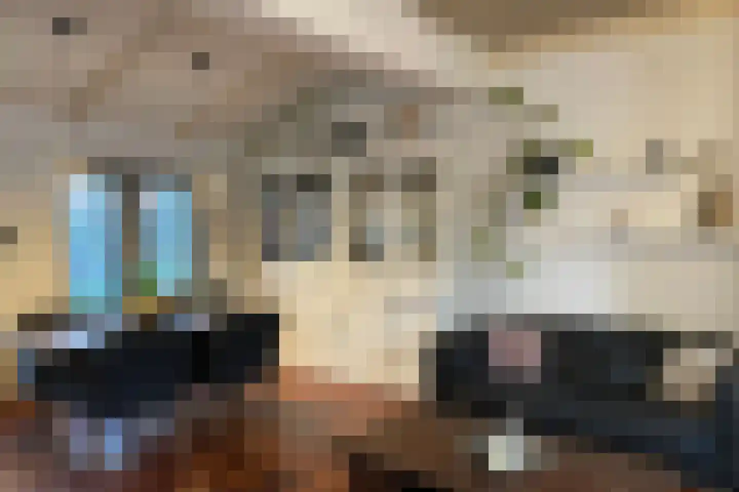 Zomerstraat 12 Ellewoutsdijk thumbnail 9