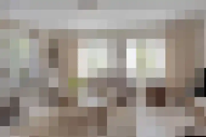 Zomerstraat 13 Lith thumbnail 11