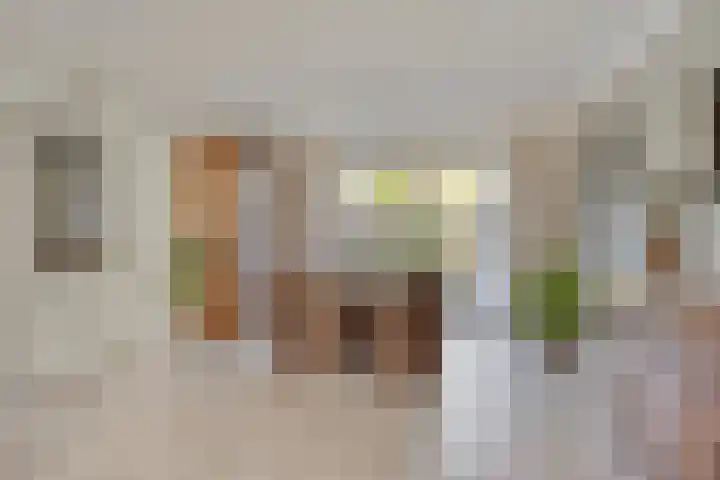 Zomerstraat 13 Lith thumbnail 13