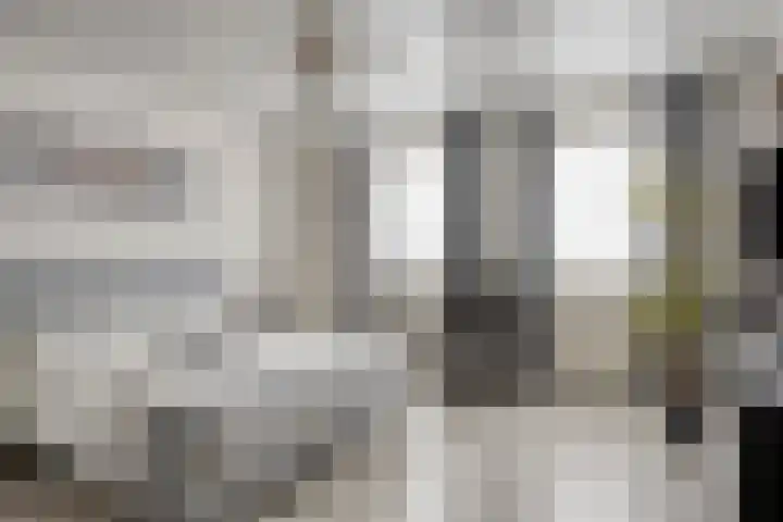 Zomerstraat 13 Lith thumbnail 18