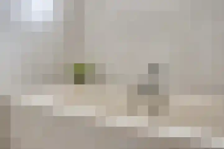 Zomerstraat 13 Lith thumbnail 22