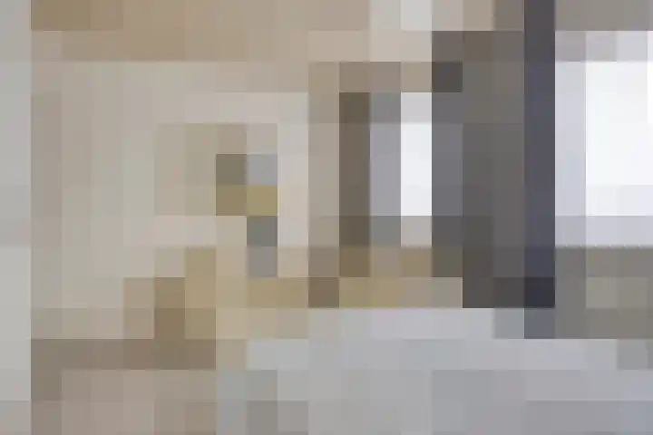 Zomerstraat 13 Lith thumbnail 24