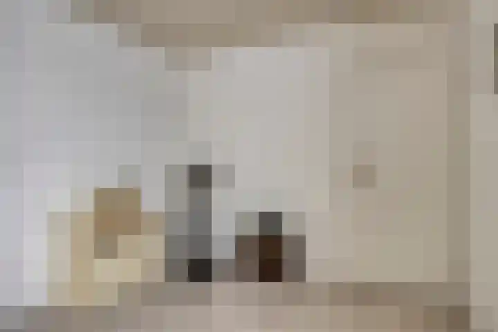 Zomerstraat 13 Lith thumbnail 25