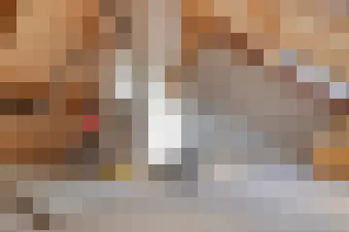 Zomerstraat 13 Lith thumbnail 27