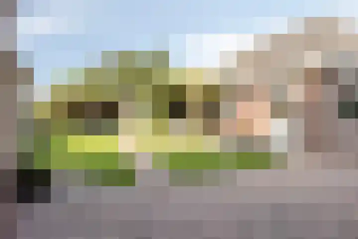 Zomerstraat 13 Lith thumbnail 29