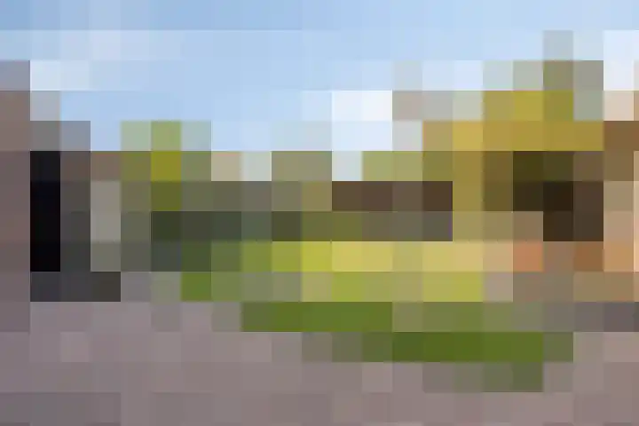 Zomerstraat 13 Lith thumbnail 30