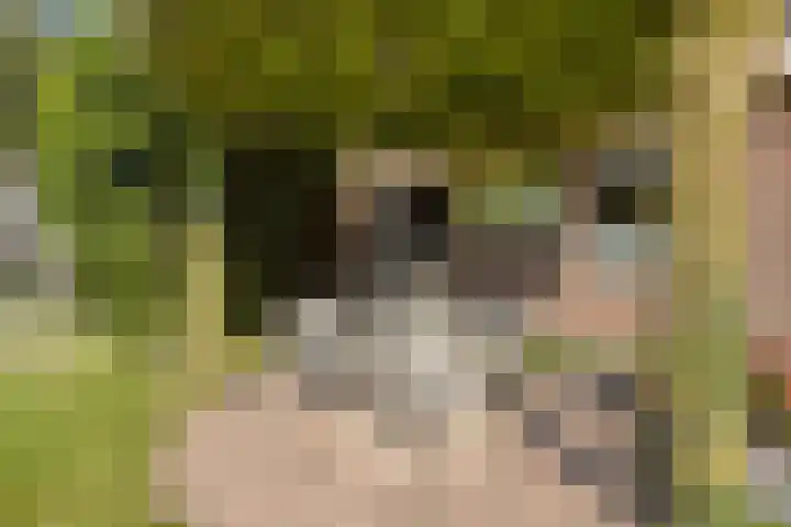 Zomerstraat 13 Lith thumbnail 31