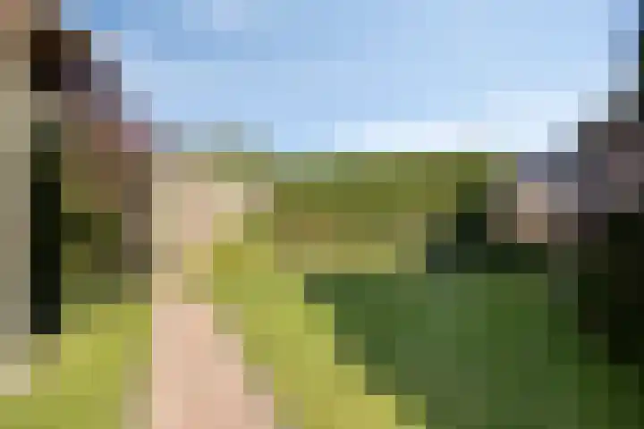 Zomerstraat 13 Lith thumbnail 32