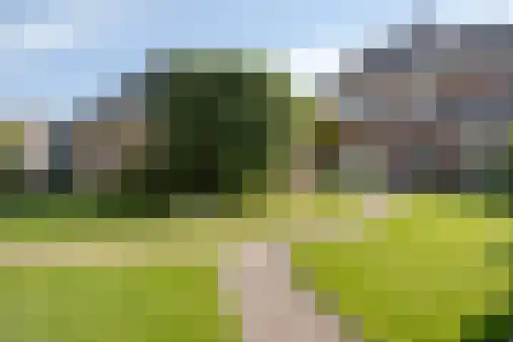 Zomerstraat 13 Lith thumbnail 35
