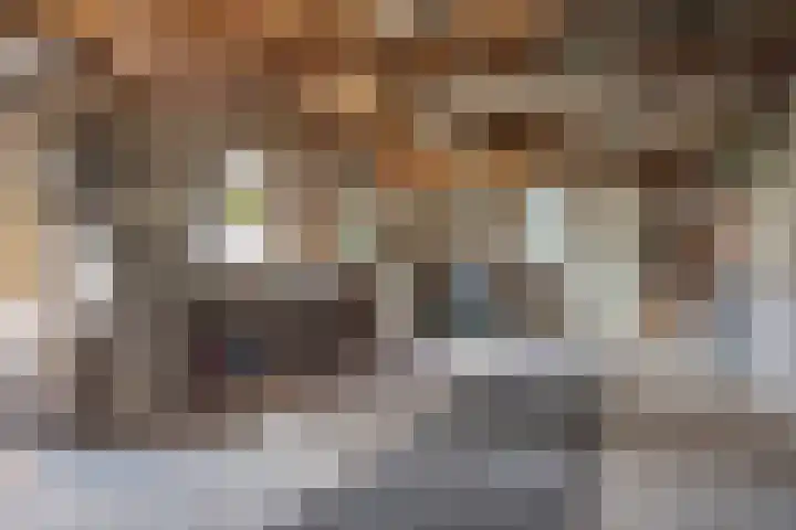 Zomerstraat 13 Lith thumbnail 36