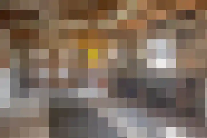 Zomerstraat 13 Lith thumbnail 37