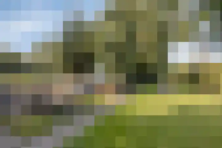Zomerstraat 13 Lith thumbnail 38