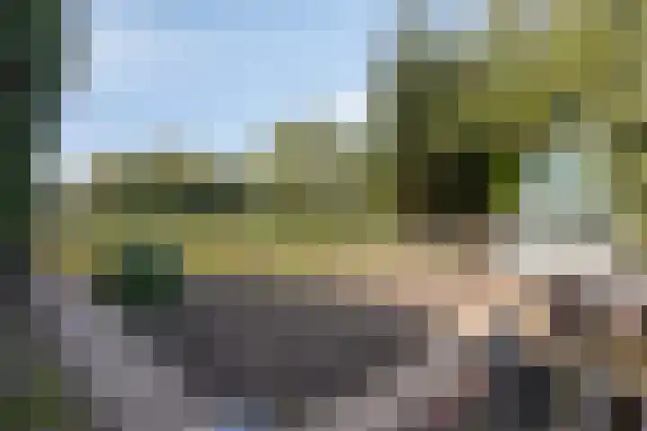 Zomerstraat 13 Lith thumbnail 39