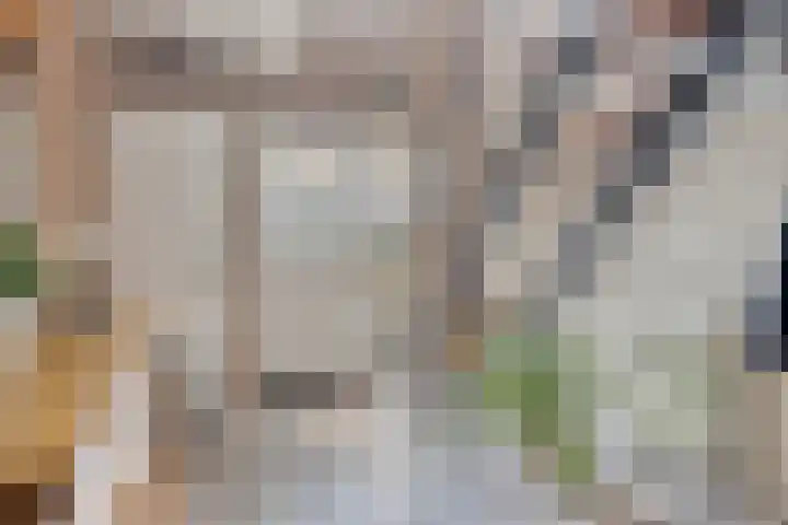 Zomerstraat 13 Lith thumbnail 4