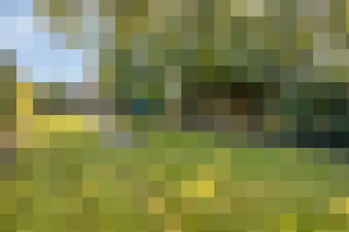 Zomerstraat 13 Lith thumbnail 40