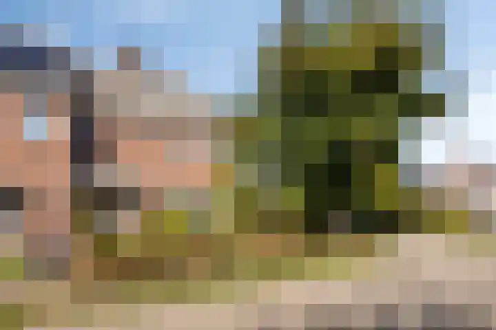 Zomerstraat 13 Lith thumbnail 41