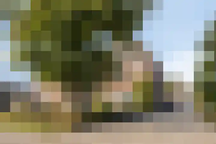 Zomerstraat 13 Lith thumbnail 42