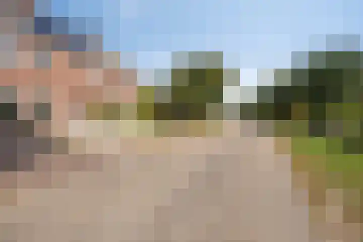 Zomerstraat 13 Lith thumbnail 43