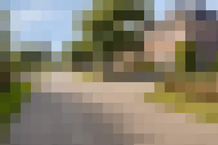 Zomerstraat 13 Lith thumbnail 44