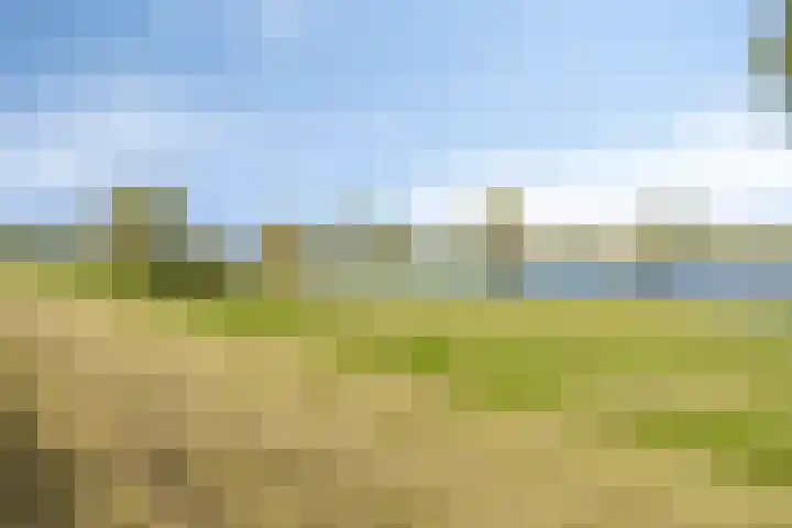 Zomerstraat 13 Lith thumbnail 45