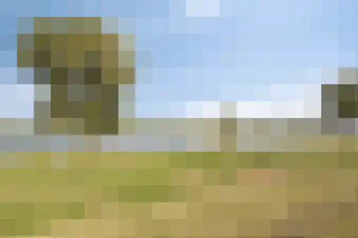Zomerstraat 13 Lith thumbnail 46