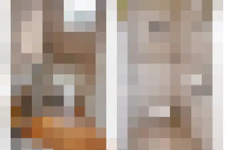 Zomerstraat 13 Lith thumbnail 5