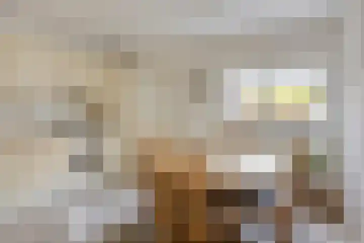 Zomerstraat 13 Lith thumbnail 6