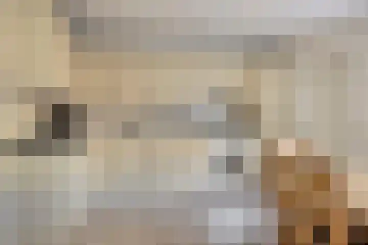 Zomerstraat 13 Lith thumbnail 7