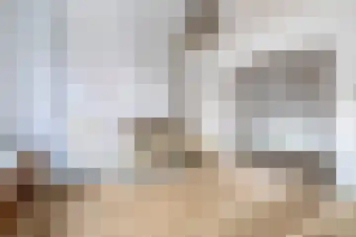 Zomerstraat 15 Hulst thumbnail 10