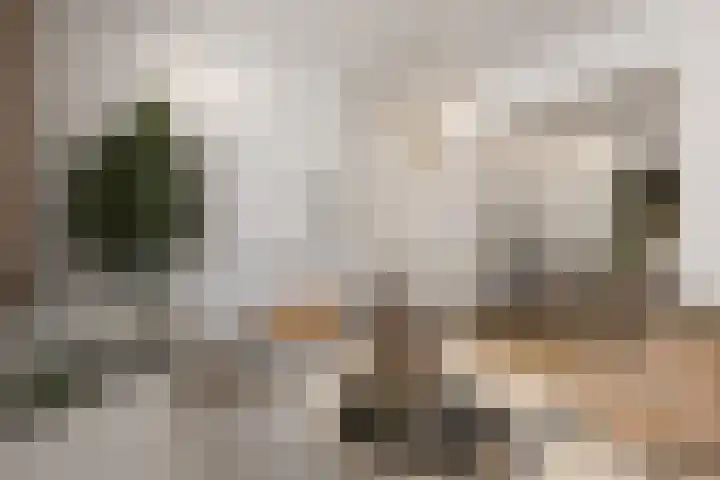 Zomerstraat 15 Hulst thumbnail 11