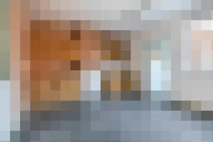 Zomerstraat 15 Hulst thumbnail 15