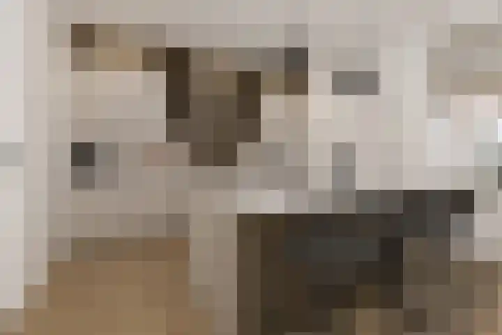 Zomerstraat 15 Hulst thumbnail 16